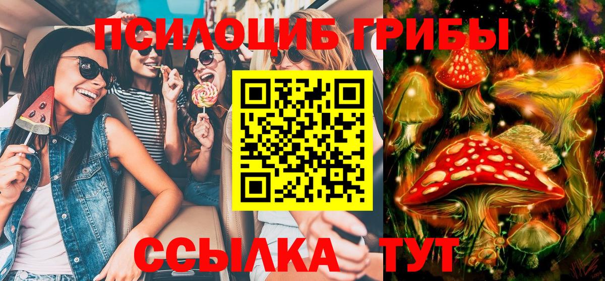 Галлюциногенные грибы Cubensis  Вход с VPN  Галлюциногенные грибы Psilocybe  Лесной 